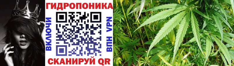 Виды наркотиков купить Электрогорск Кокаин АМФ Галлюциногенные грибы Гашиш Конопля