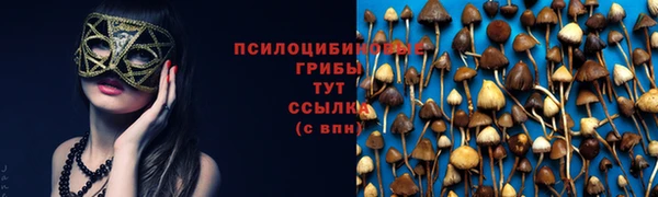 гидропоника Аркадак