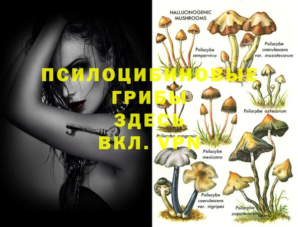 прущая мука Арсеньев