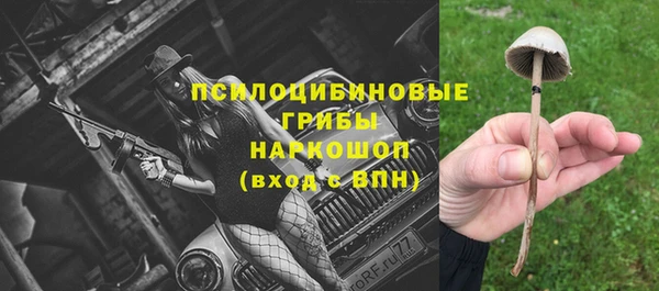гидропоника Аркадак