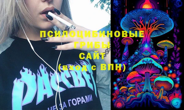 гидропоника Аркадак