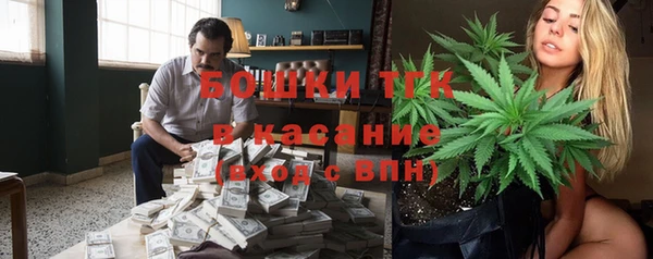 прущая мука Арсеньев