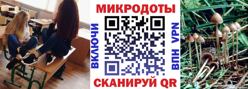 как найти закладки  мега ONION  Галлюциногенные грибы ЛСД  Электрогорск 